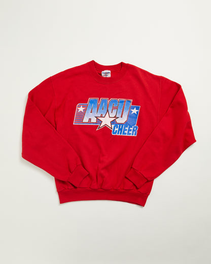 Cheer leader sweatshirt - AACY CHEER